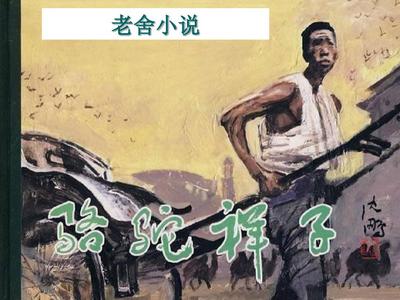 福建大菠萝导航